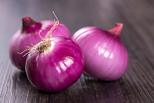 Temperature and humidity recorder suitable for large-scale onion storage