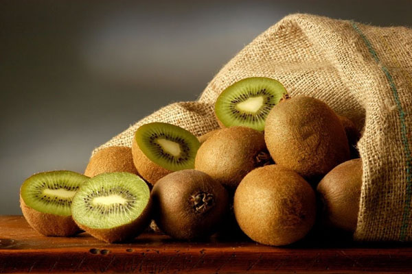 Keep kiwifruit fresh important equipment - cold chain temperature recorder