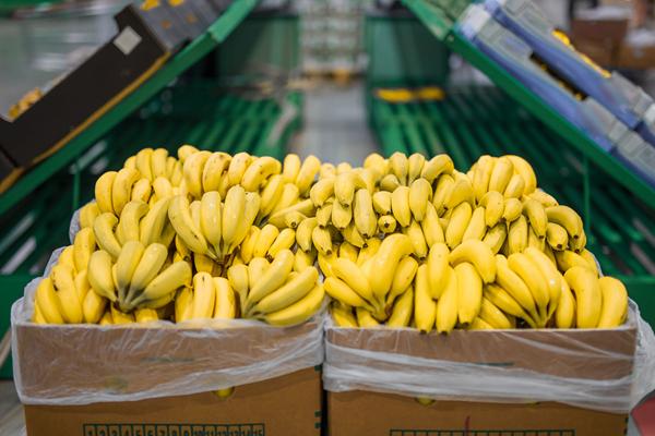 Single-use temperature data logger ensure the quality of fruits