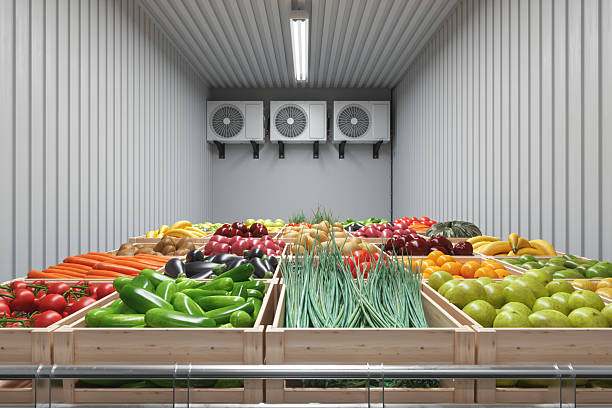 The importance of transportation temperature recorders for food transportation