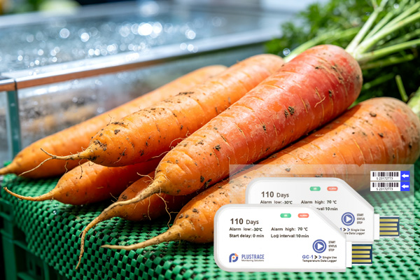 Temperature defense of carrot cold chain transportation